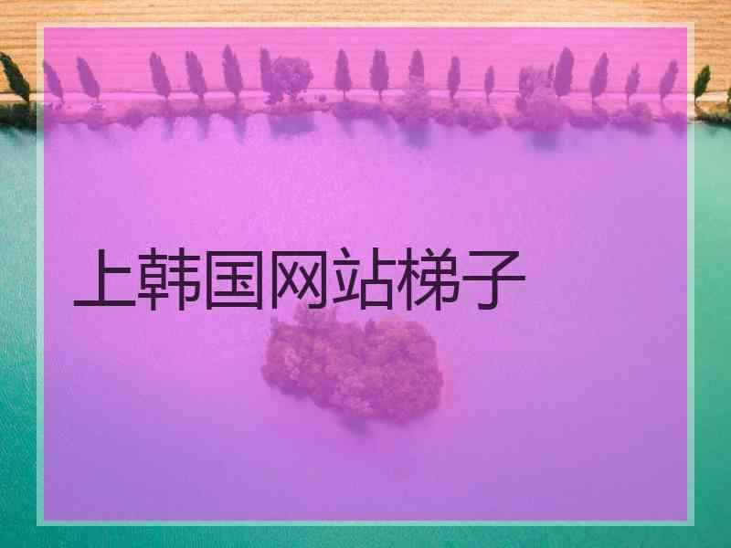 上韩国网站梯子