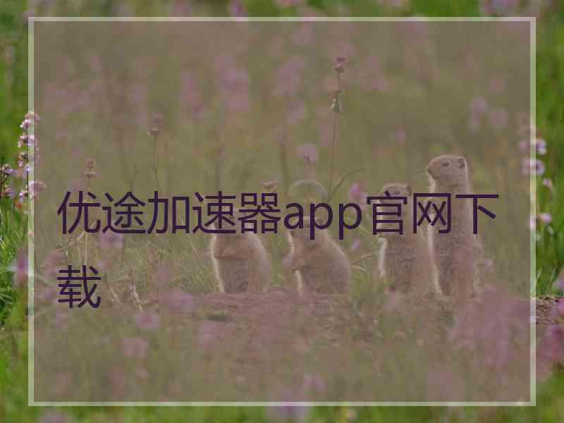 优途加速器app官网下载