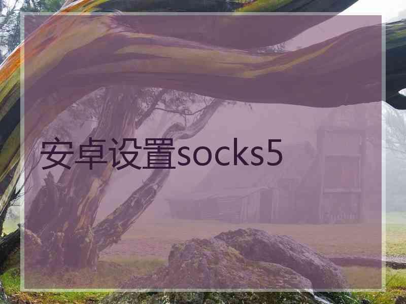 安卓设置socks5