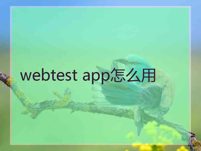 webtest app怎么用