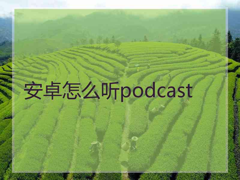 安卓怎么听podcast