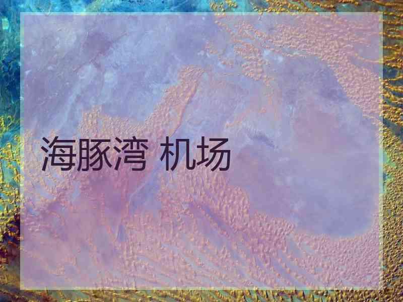 海豚湾 机场