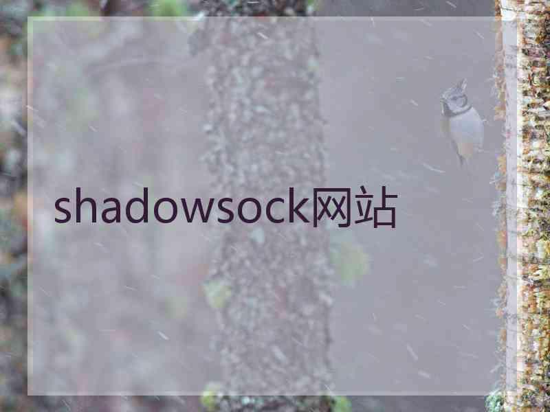 shadowsock网站