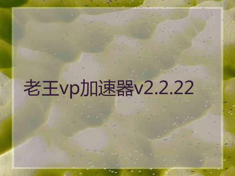 老王vp加速器v2.2.22