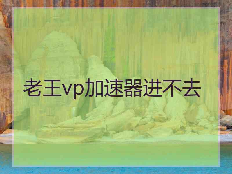 老王vp加速器进不去