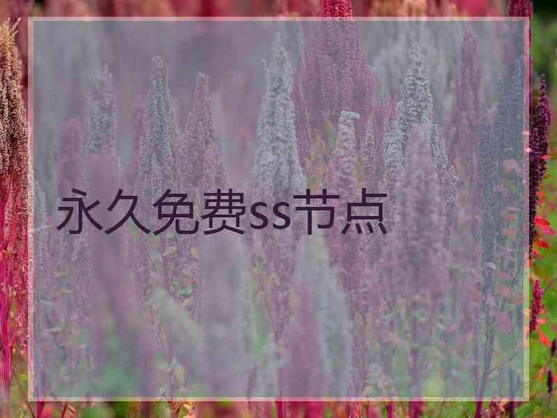 永久免费ss节点