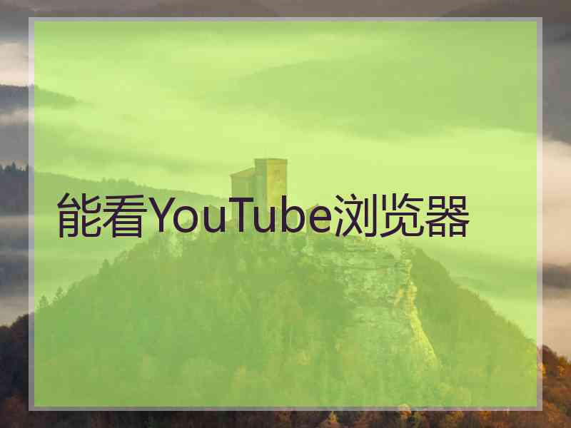 能看YouTube浏览器