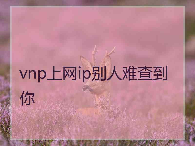 vnp上网ip别人难查到你