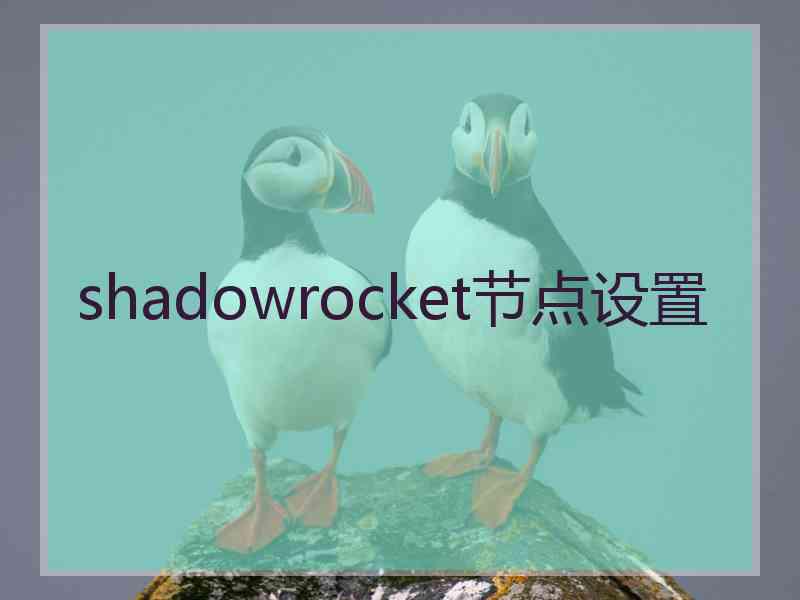 shadowrocket节点设置