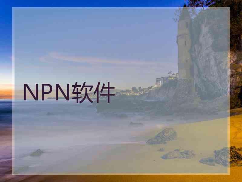 NPN软件