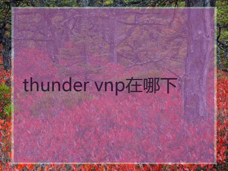 thunder vnp在哪下