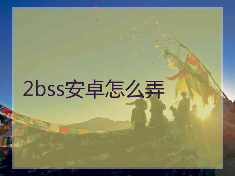 2bss安卓怎么弄