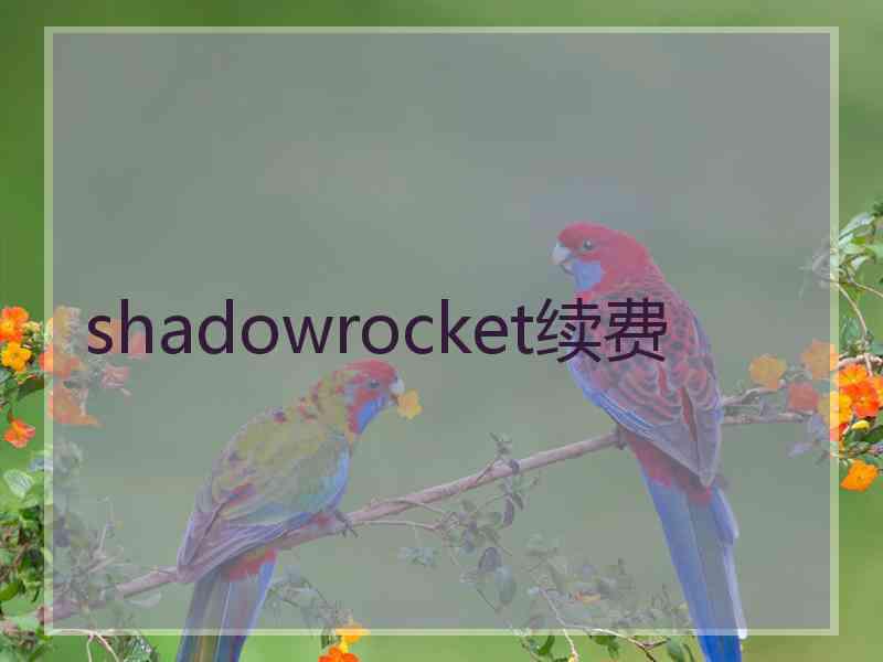 shadowrocket续费