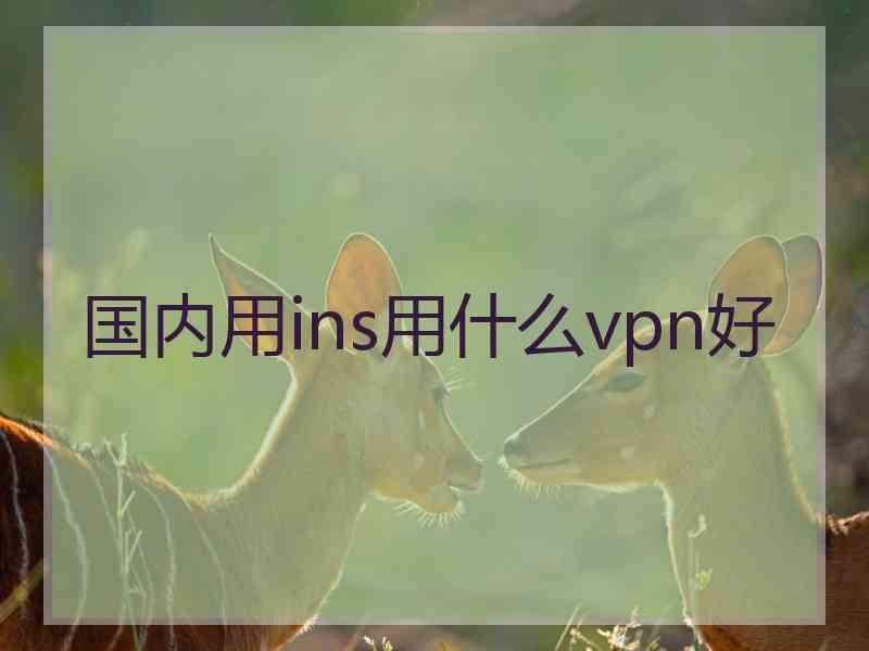 国内用ins用什么vpn好