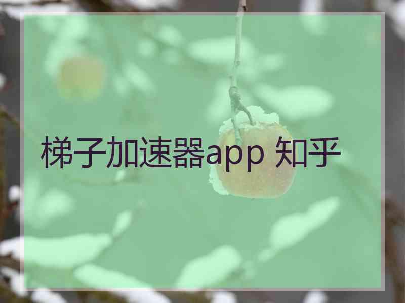 梯子加速器app 知乎