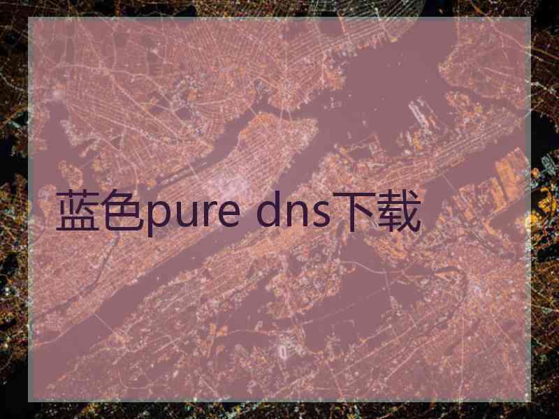 蓝色pure dns下载