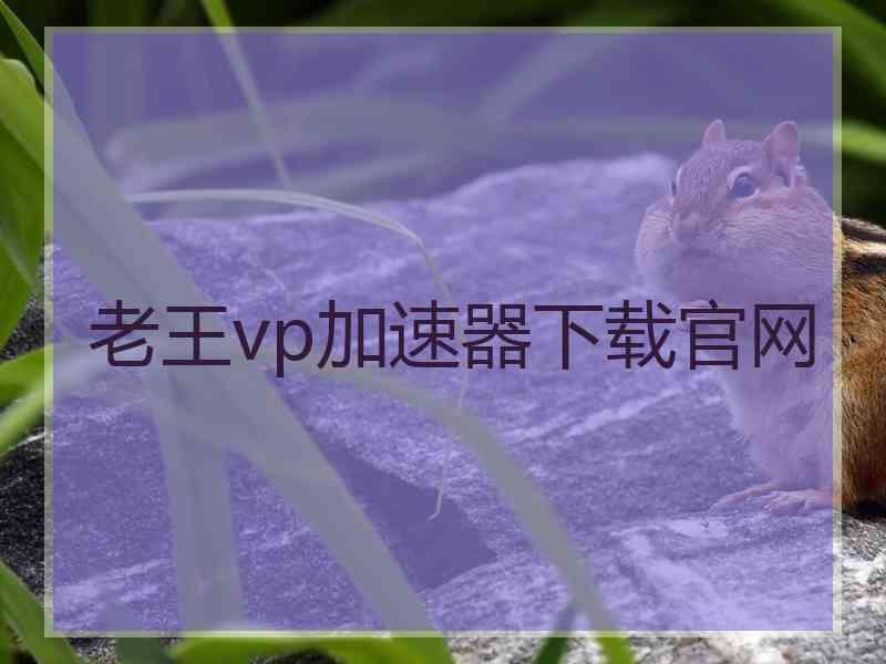 老王vp加速器下载官网