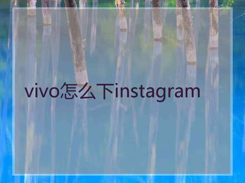 vivo怎么下instagram