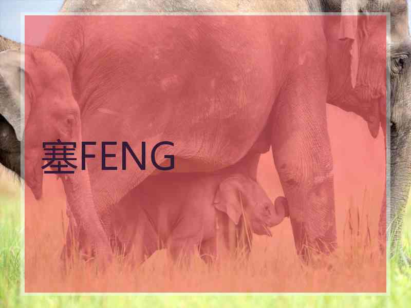 塞FENG