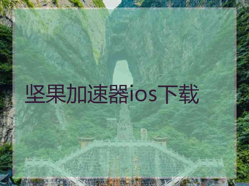 坚果加速器ios下载