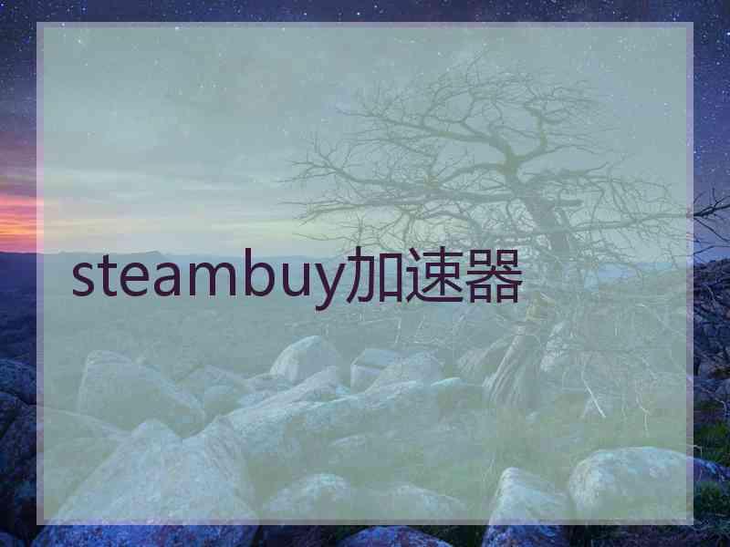 steambuy加速器